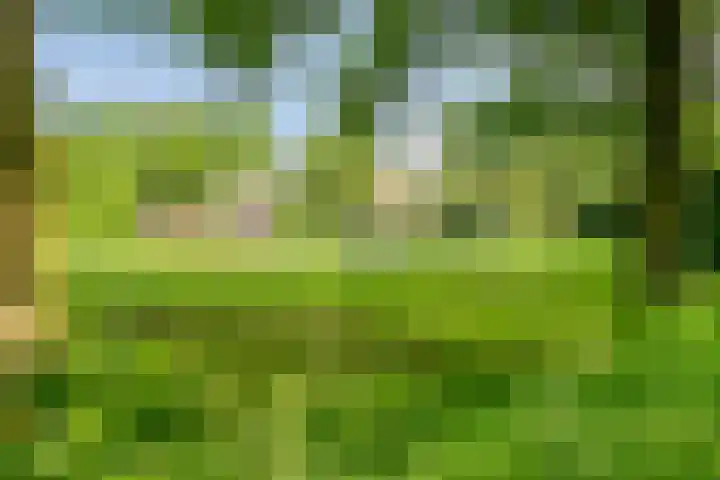 Abbevillelaan 30 Eindhoven thumbnail 39