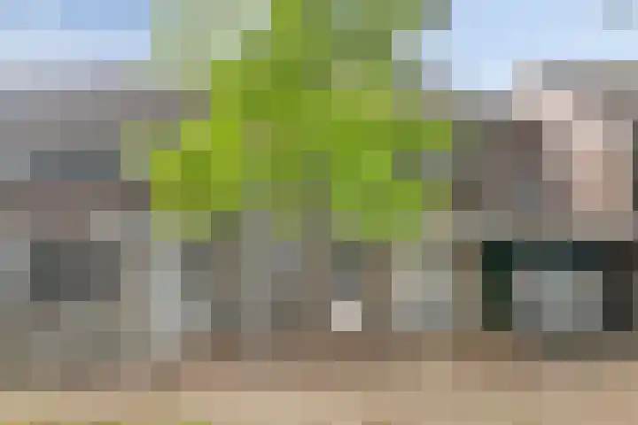 Abbevillelaan 30 Eindhoven thumbnail 50
