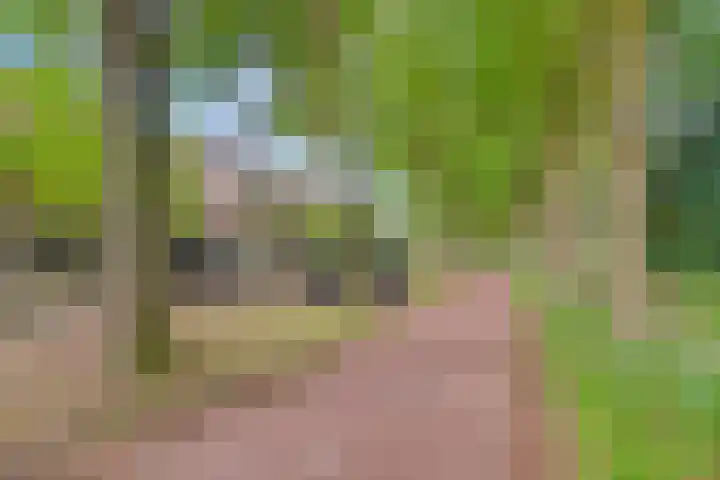 Abbevillelaan 30 Eindhoven thumbnail 7