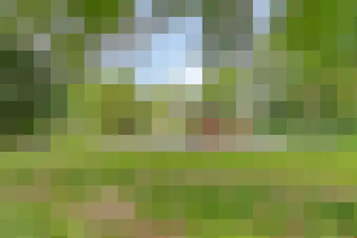 Abbevillelaan 30 Eindhoven thumbnail 8