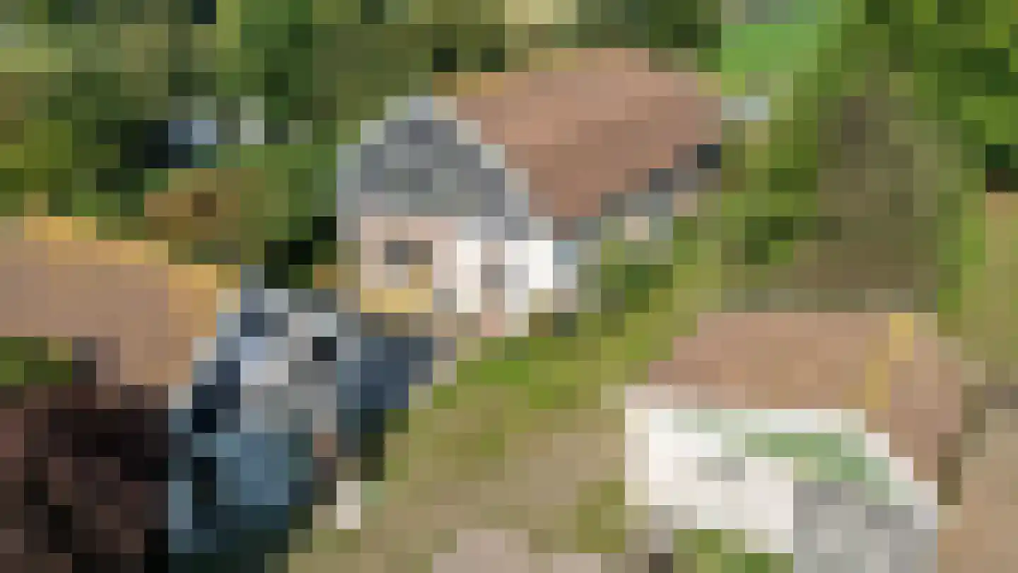 Abbewerveweg 5 Zwartewaal thumbnail 13