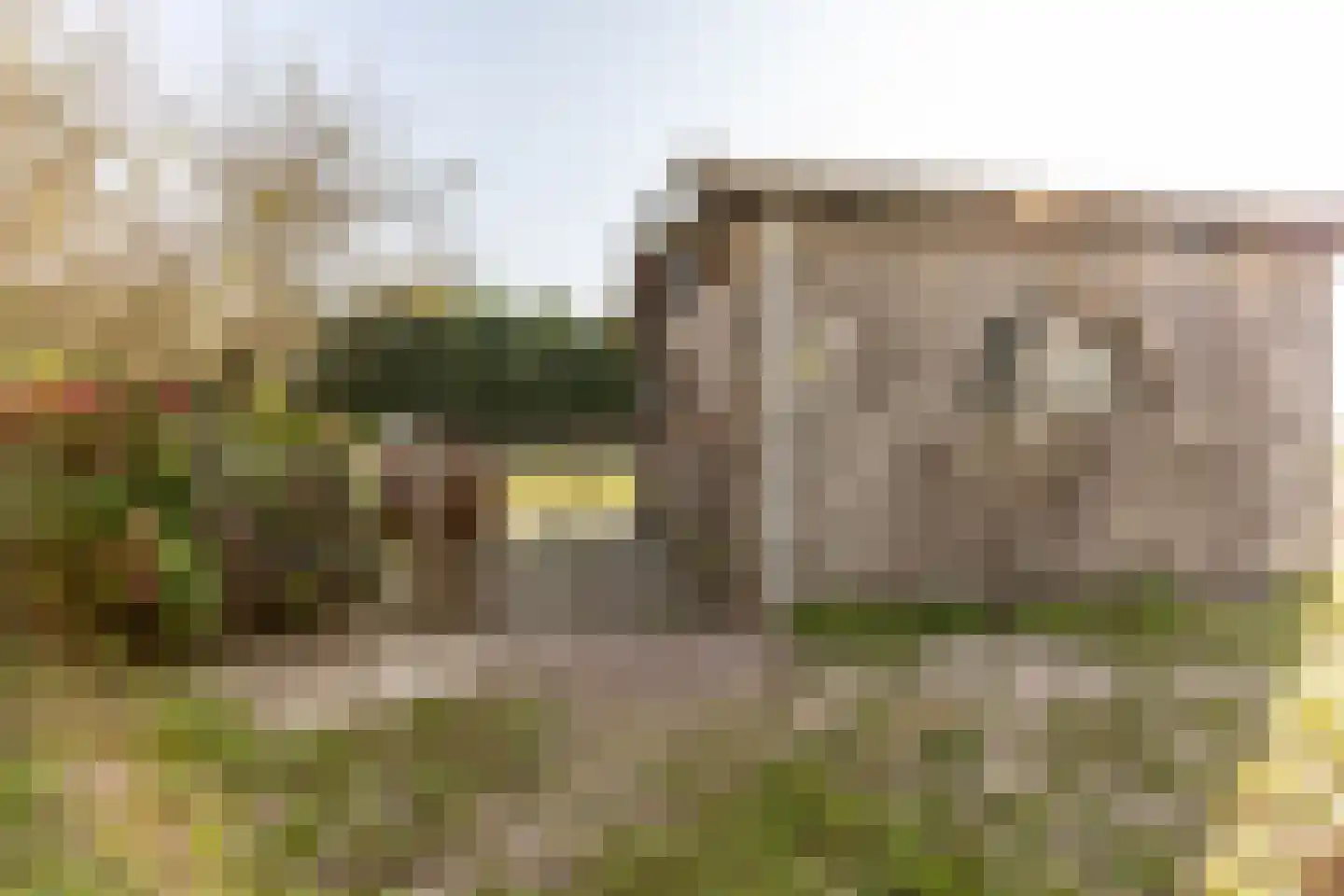 Abbewerveweg 5 Zwartewaal thumbnail 14