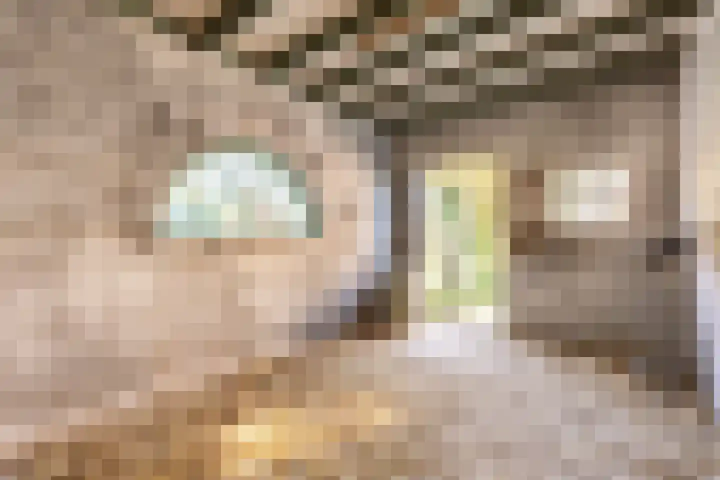 Abbewerveweg 5 Zwartewaal thumbnail 15