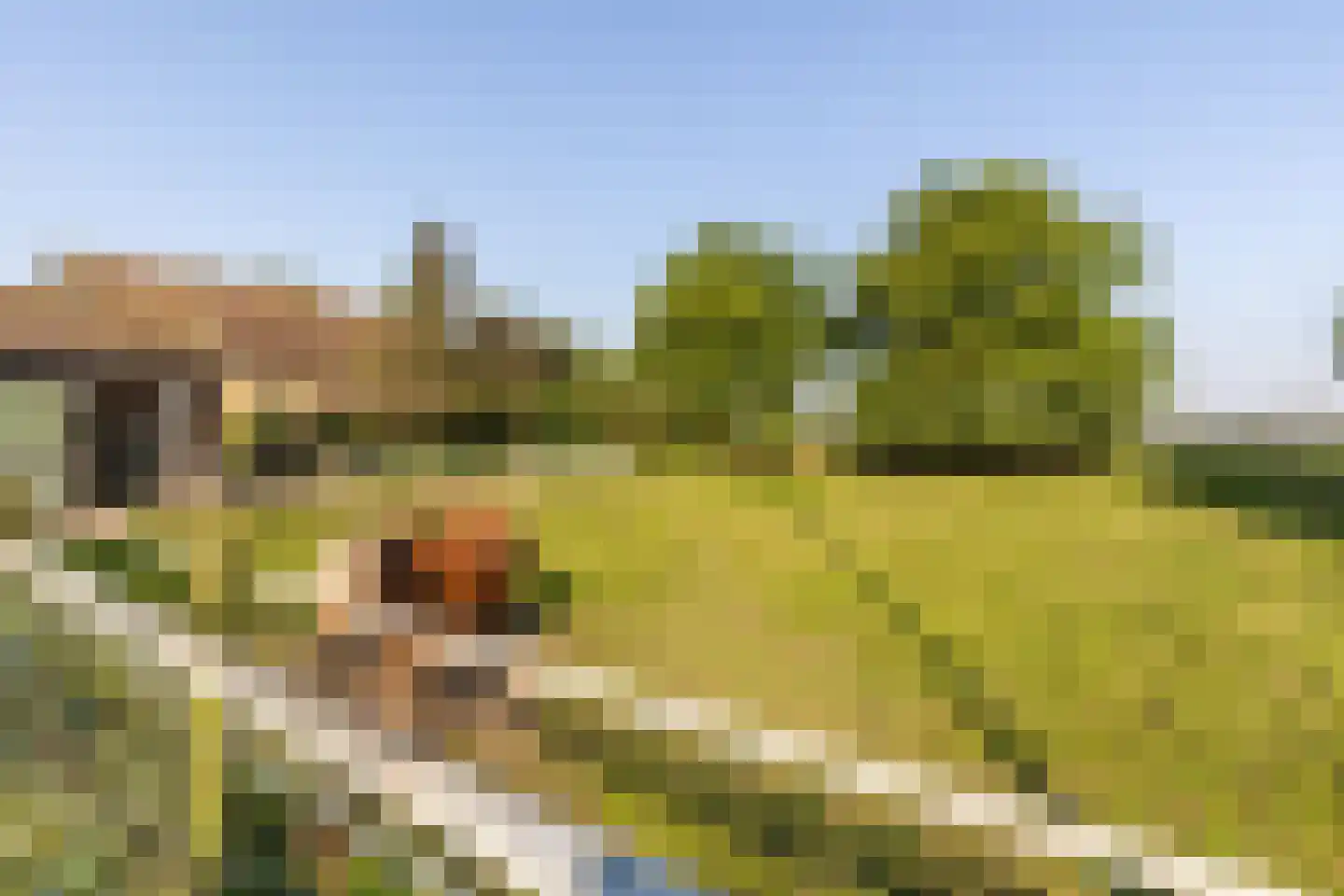 Abbewerveweg 5 Zwartewaal thumbnail 16