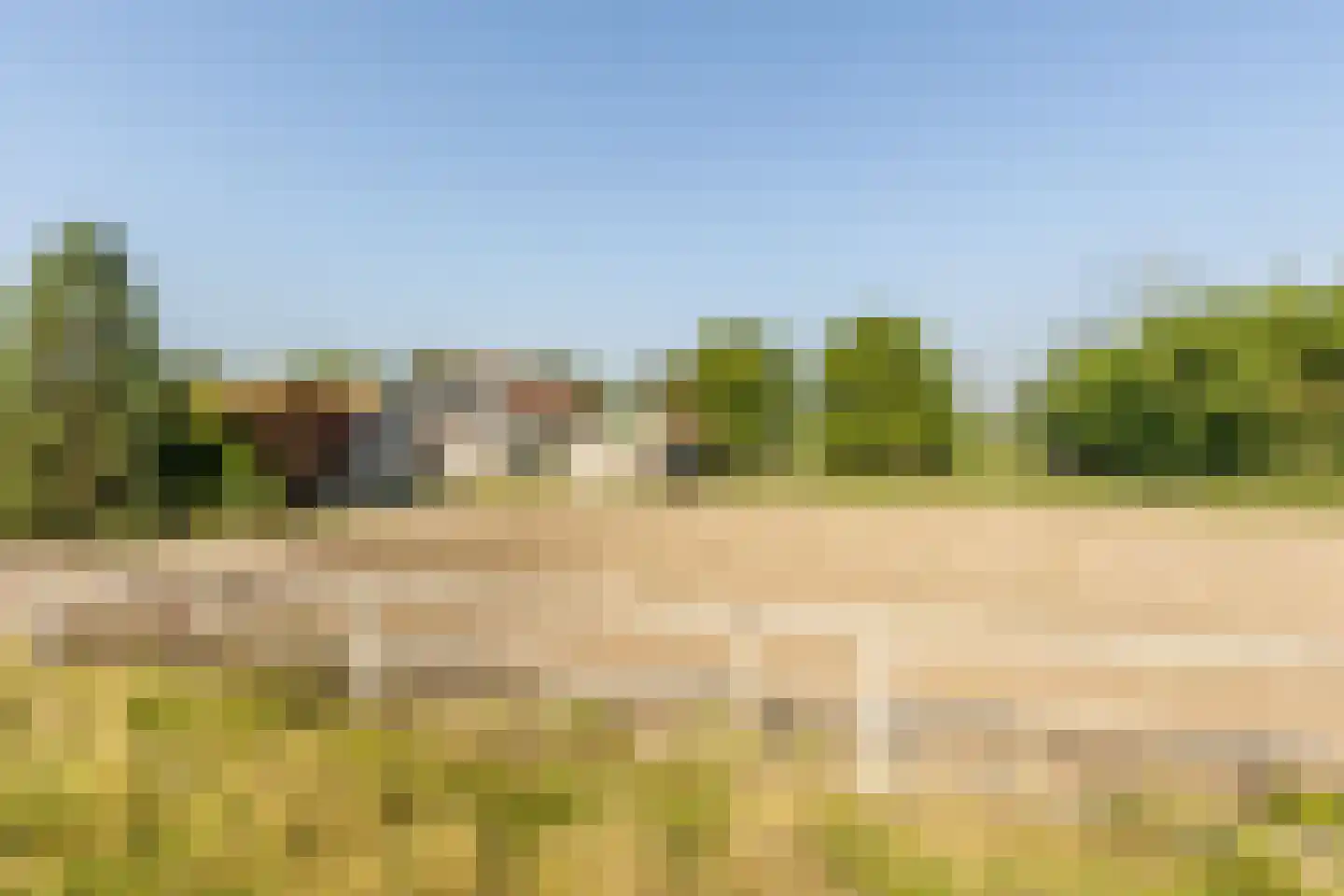 Abbewerveweg 5 Zwartewaal thumbnail 19