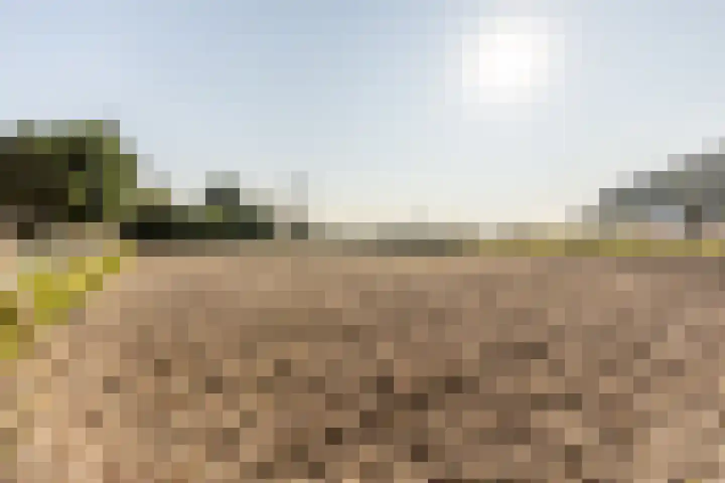Abbewerveweg 5 Zwartewaal thumbnail 20