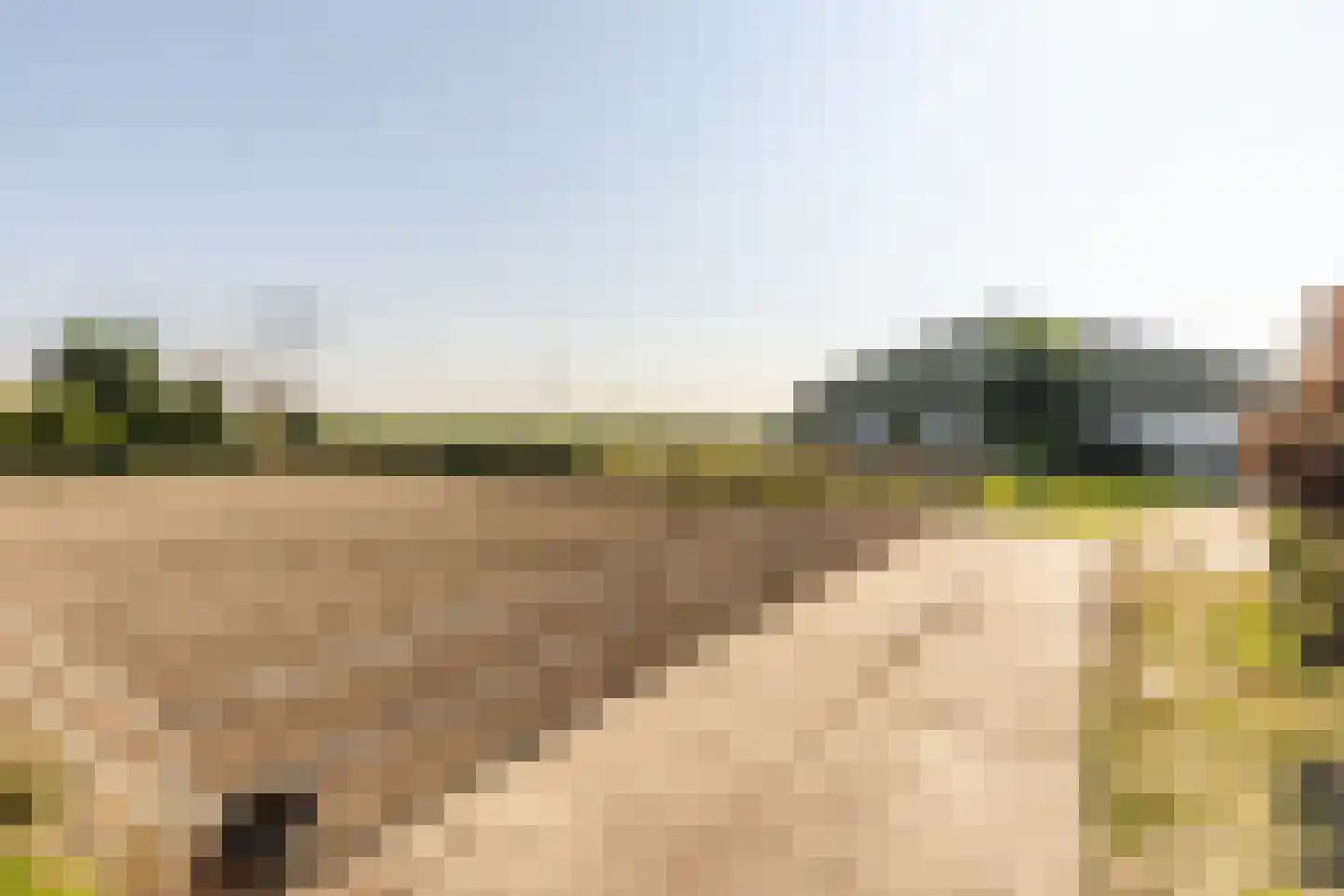 Abbewerveweg 5 Zwartewaal thumbnail 21