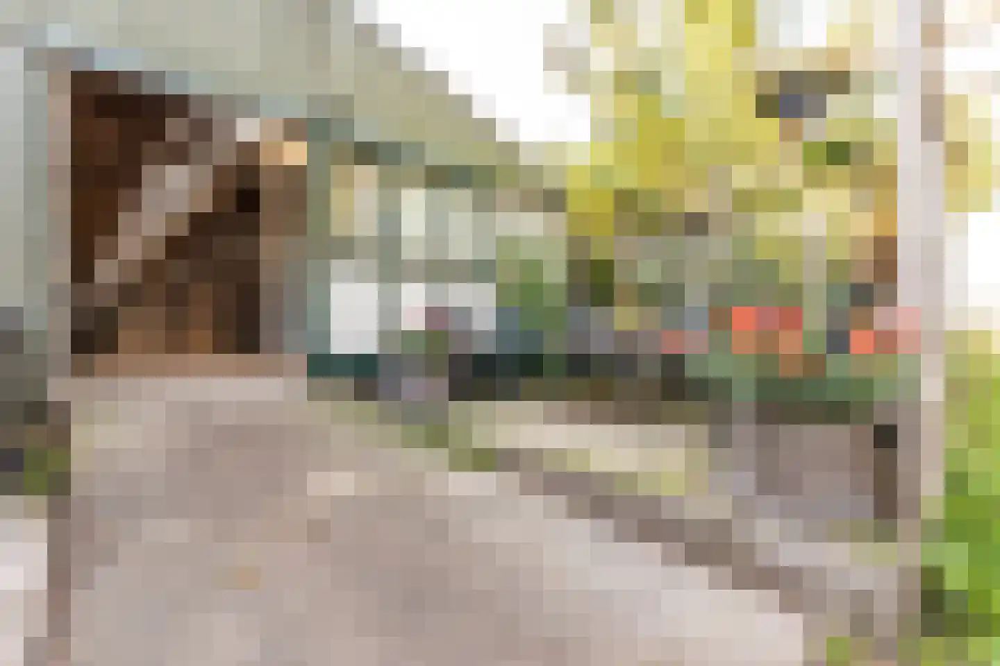 Abbewerveweg 5 Zwartewaal thumbnail 22