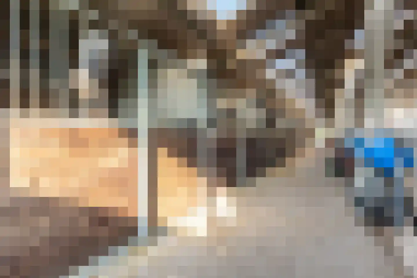 Abbewerveweg 5 Zwartewaal thumbnail 23
