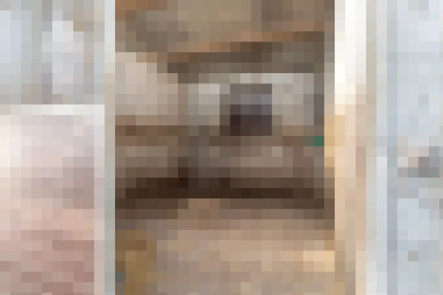 Abbewerveweg 5 Zwartewaal thumbnail 24