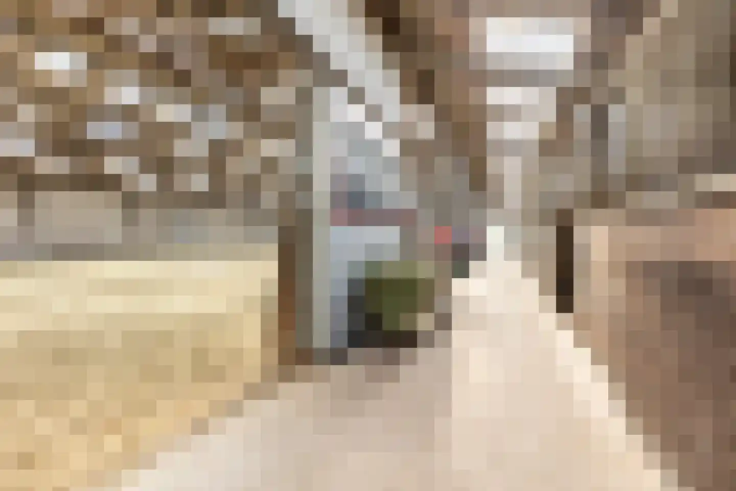 Abbewerveweg 5 Zwartewaal thumbnail 25