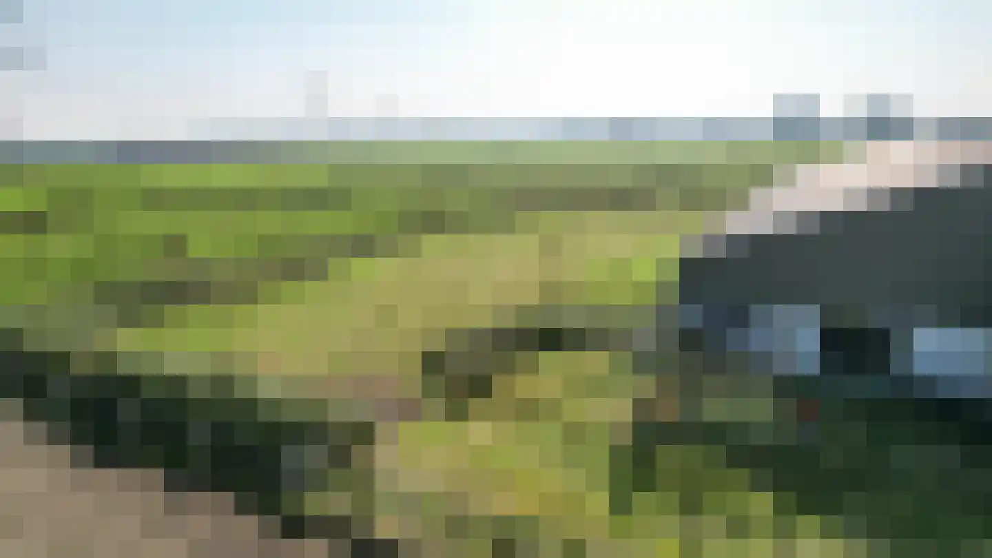 Abbewerveweg 5 Zwartewaal thumbnail 39