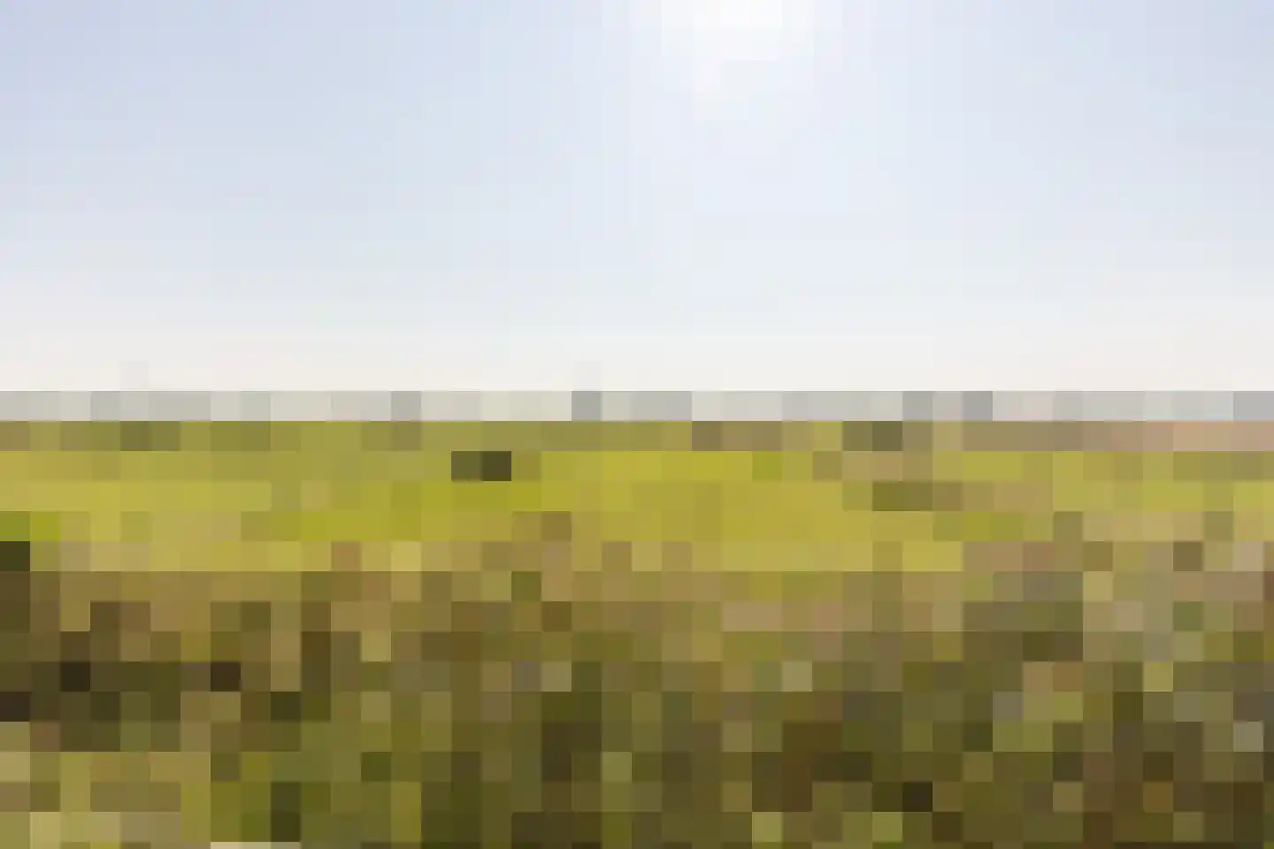 Abbewerveweg 5 Zwartewaal thumbnail 4