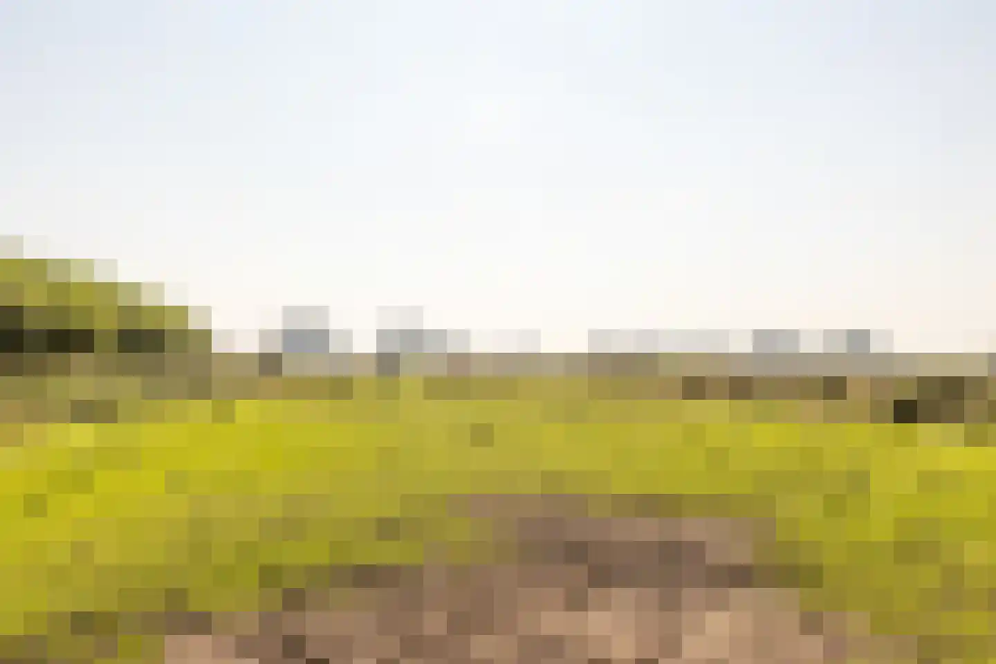 Abbewerveweg 5 Zwartewaal thumbnail 40