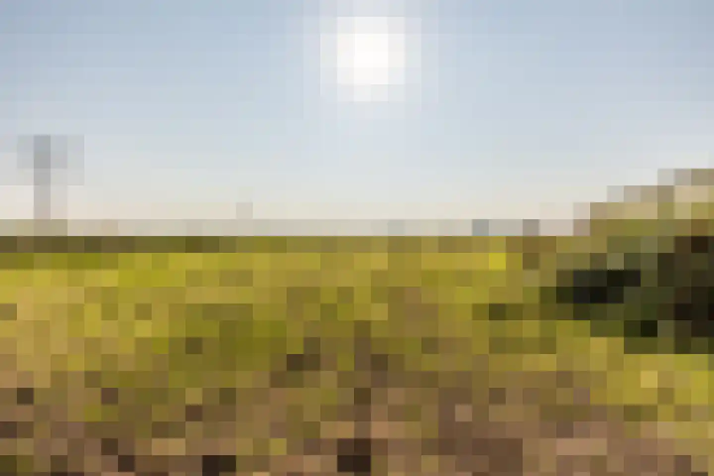 Abbewerveweg 5 Zwartewaal thumbnail 41