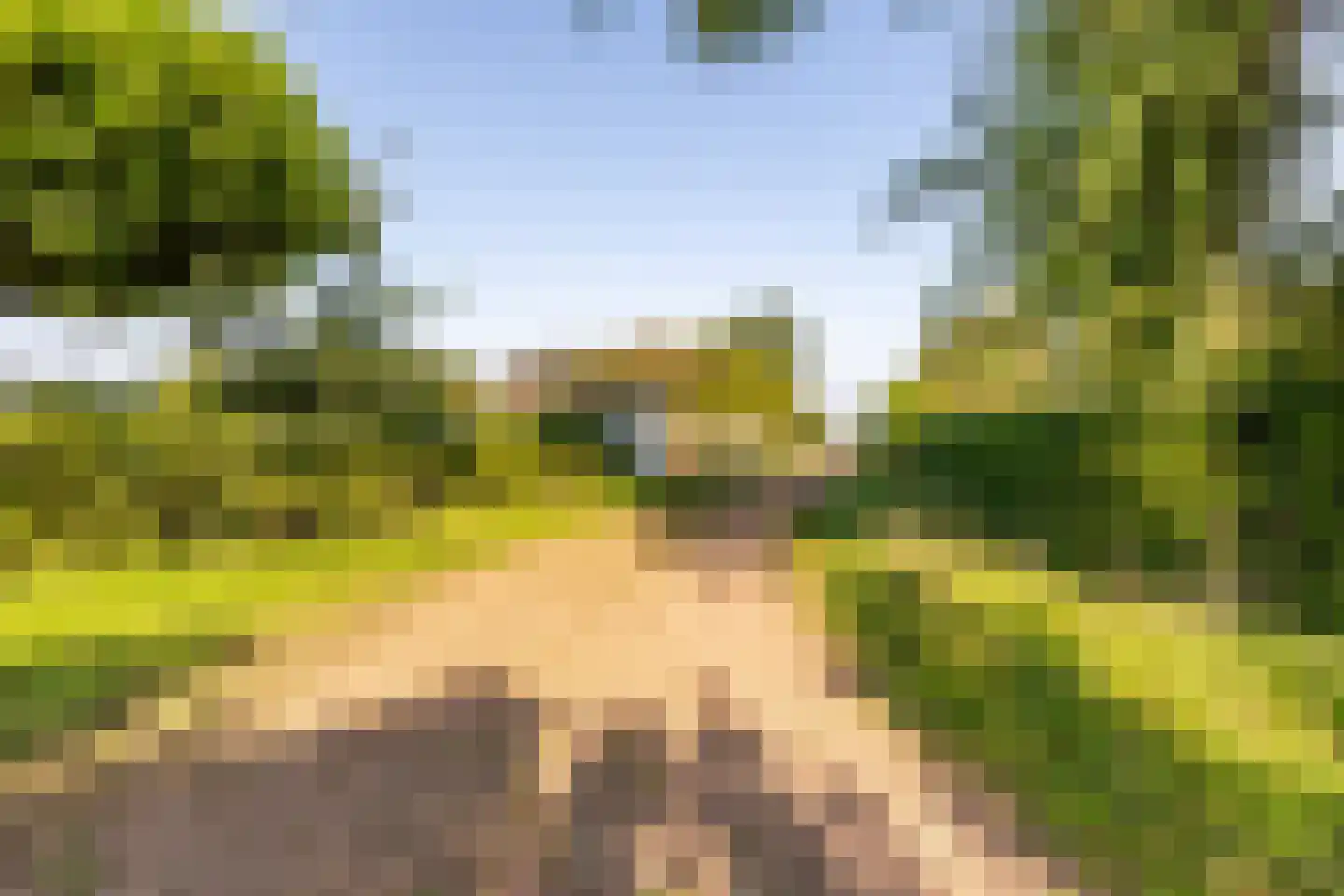 Abbewerveweg 5 Zwartewaal thumbnail 42