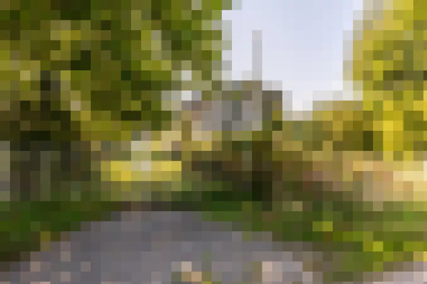 Abbewerveweg 5 Zwartewaal thumbnail 44