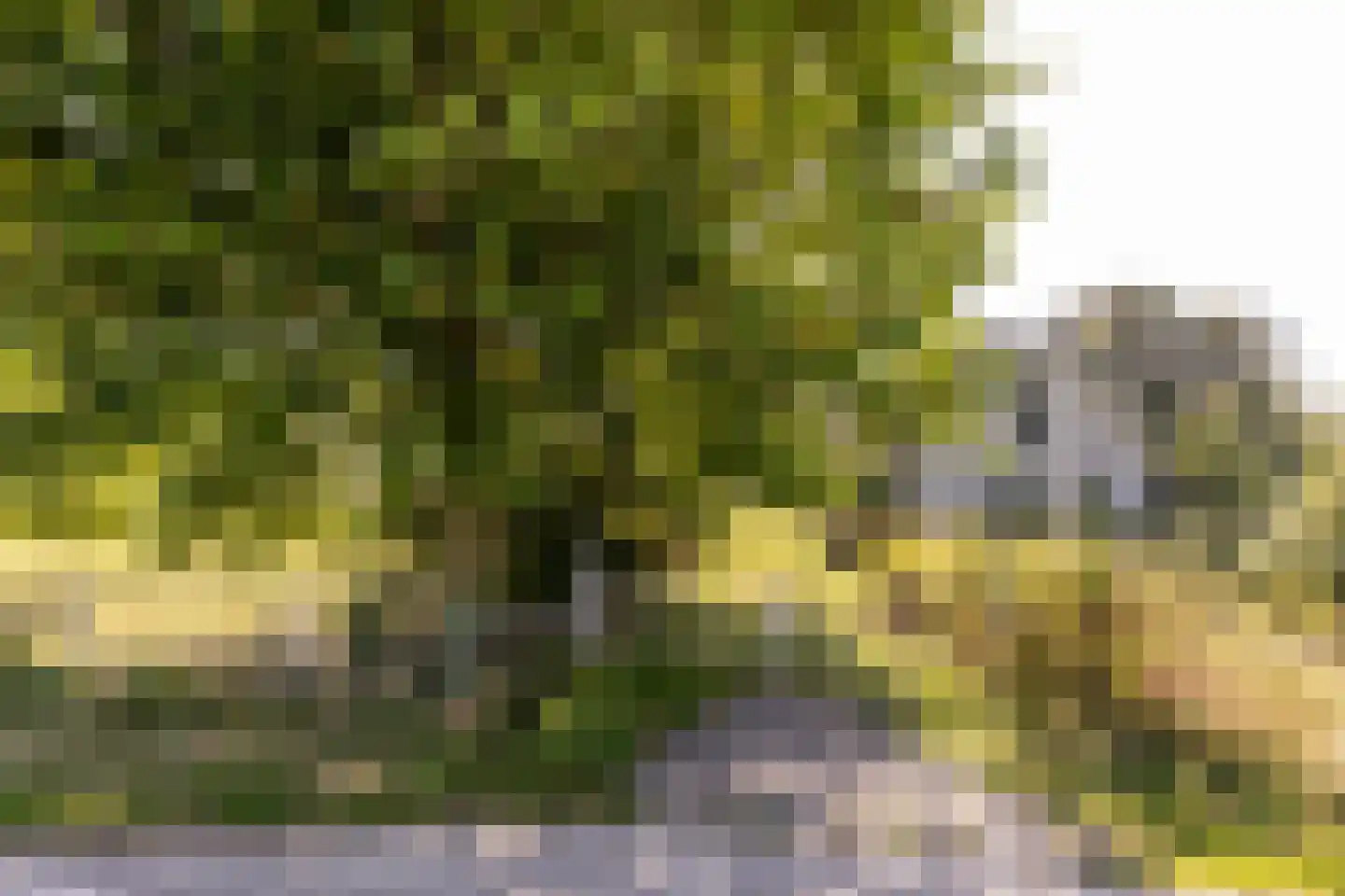 Abbewerveweg 5 Zwartewaal thumbnail 45