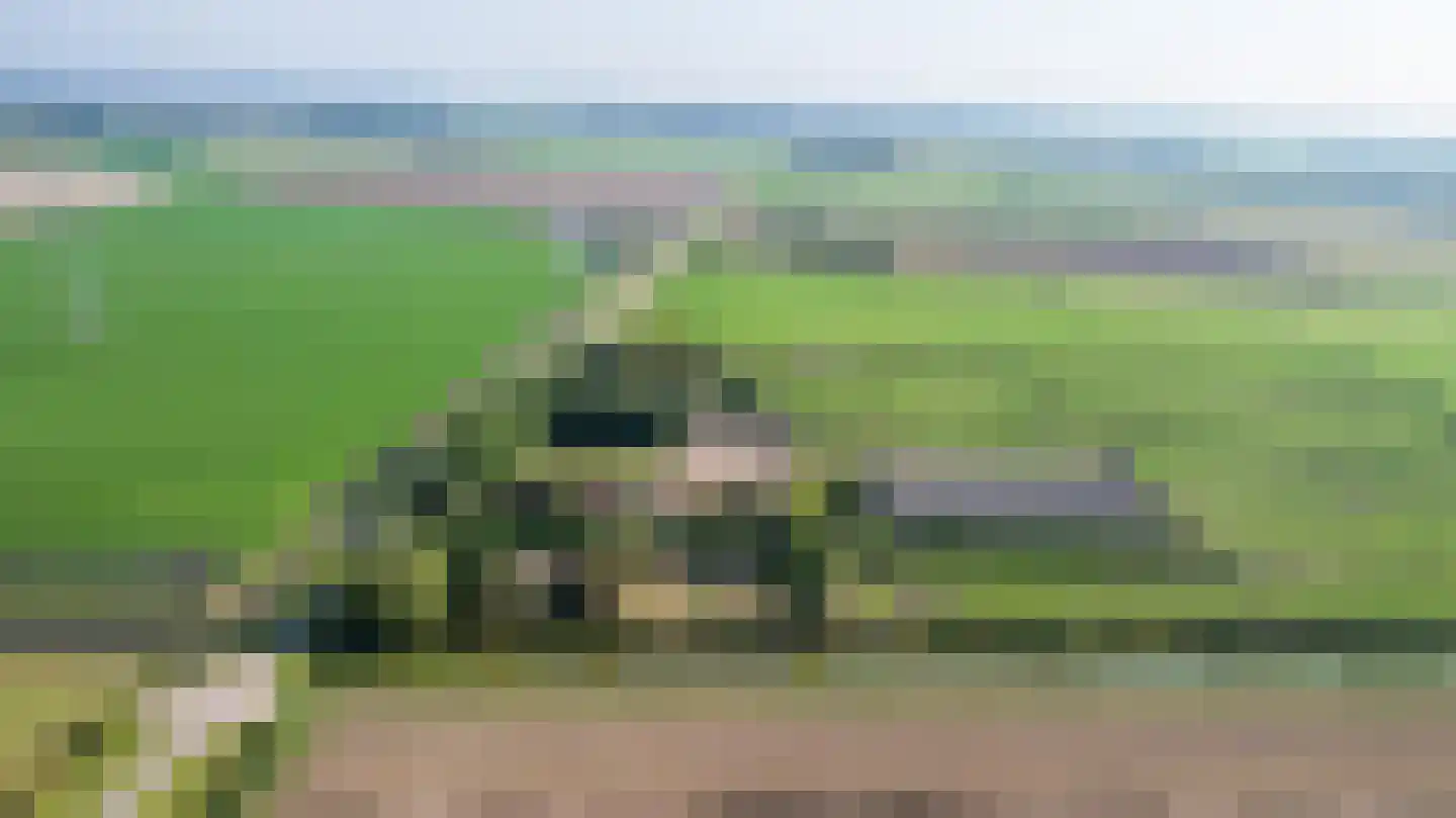 Abbewerveweg 5 Zwartewaal thumbnail 47