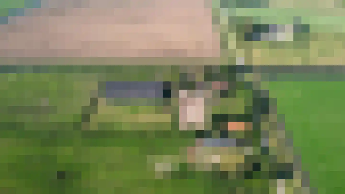 Abbewerveweg 5 Zwartewaal thumbnail 48