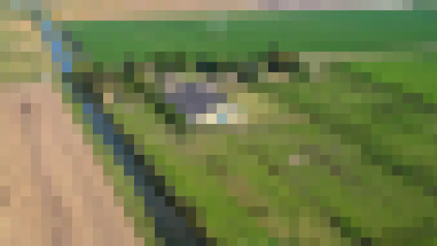 Abbewerveweg 5 Zwartewaal thumbnail 49