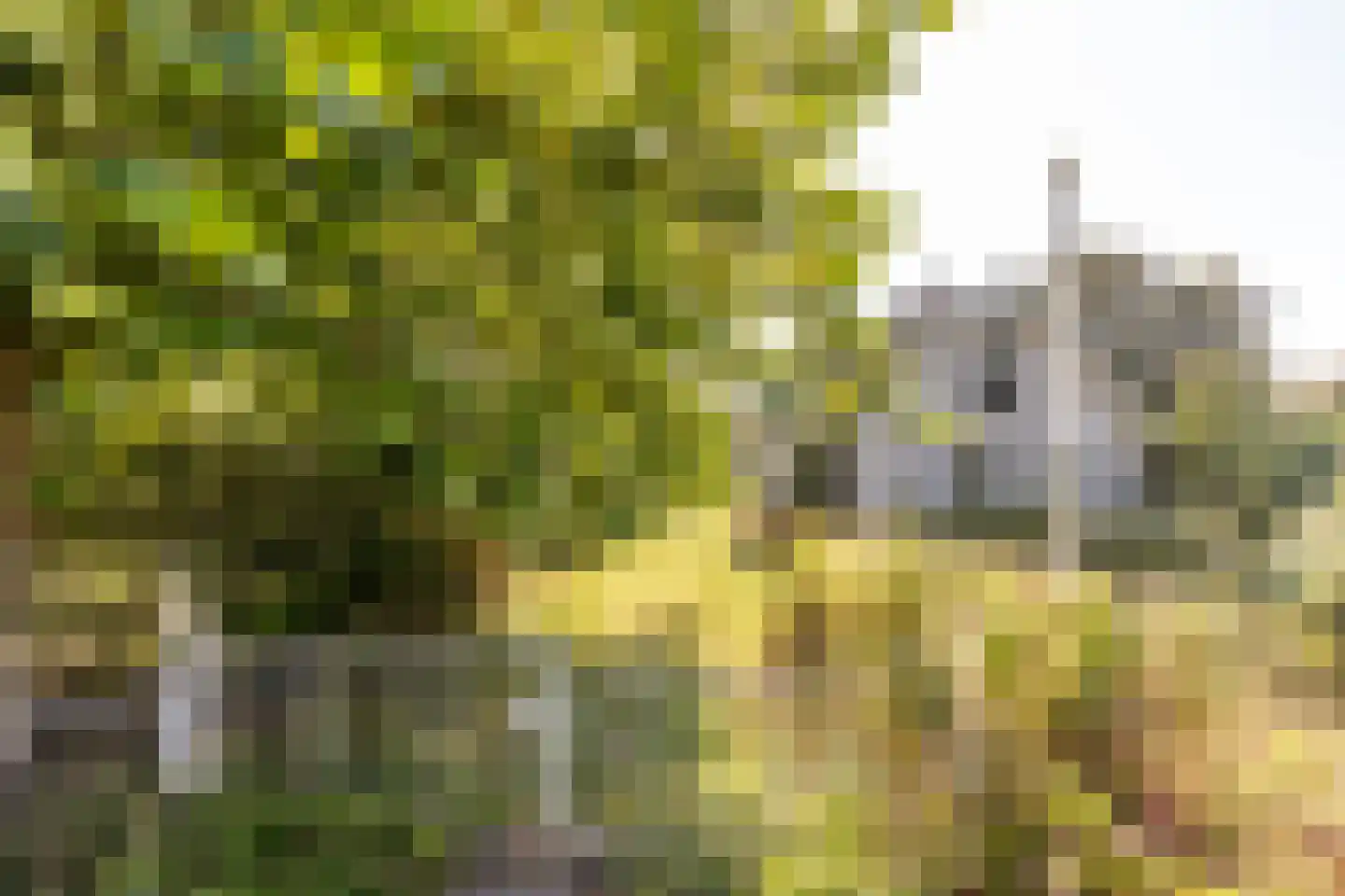 Abbewerveweg 5 Zwartewaal thumbnail 5