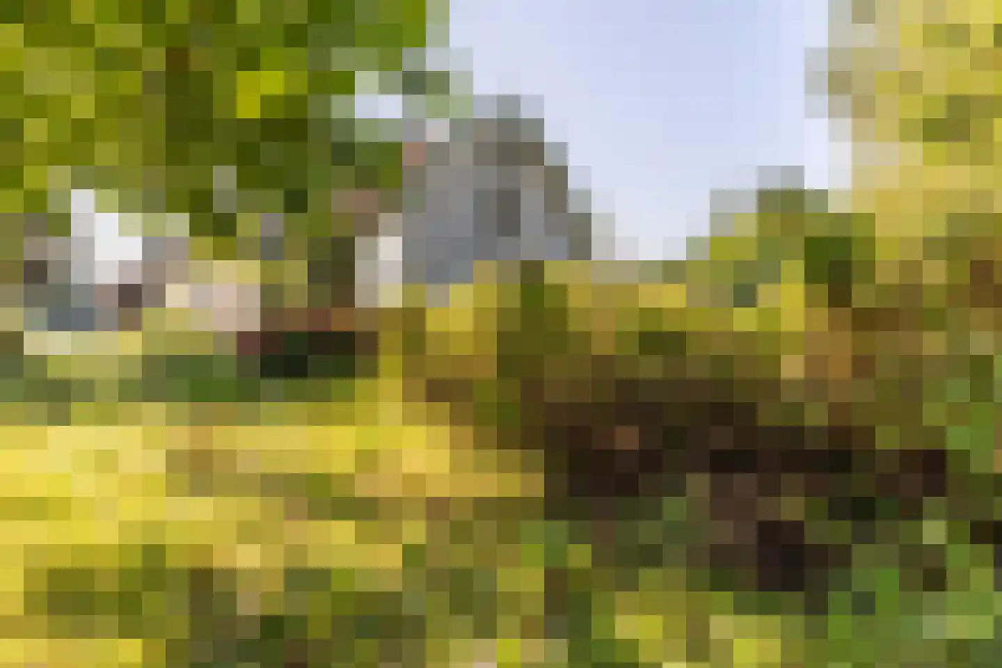 Abbewerveweg 5 Zwartewaal thumbnail 6