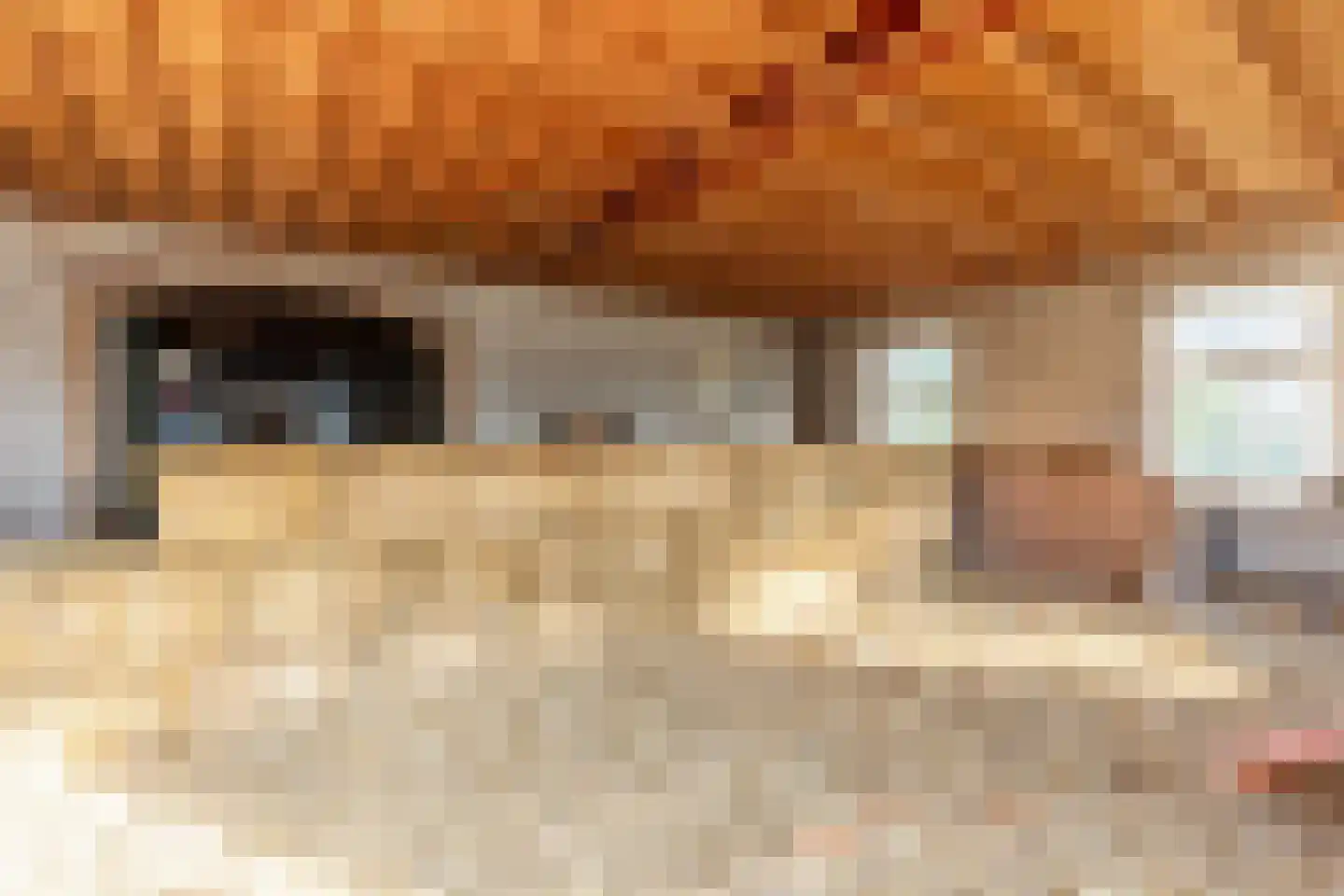 Abbewerveweg 5 Zwartewaal thumbnail 9