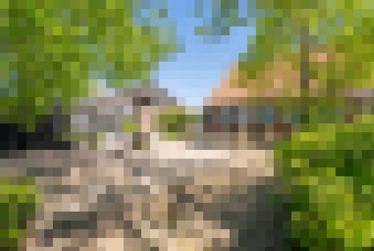 Abbewerveweg 6 Zwartewaal thumbnail 12