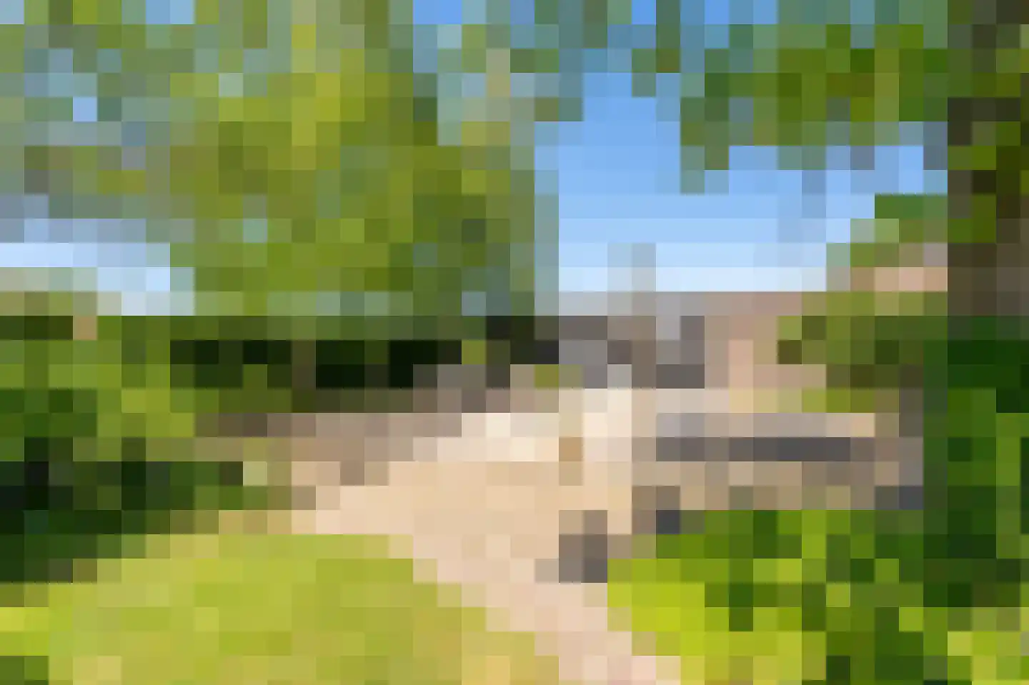 Abbewerveweg 6 Zwartewaal thumbnail 14