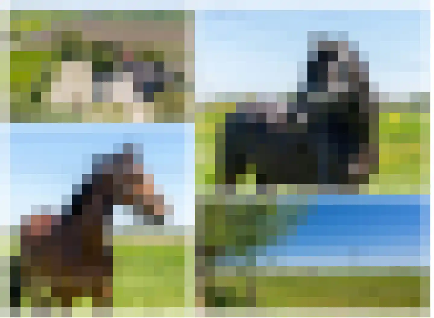 Abbewerveweg 6 Zwartewaal thumbnail 23