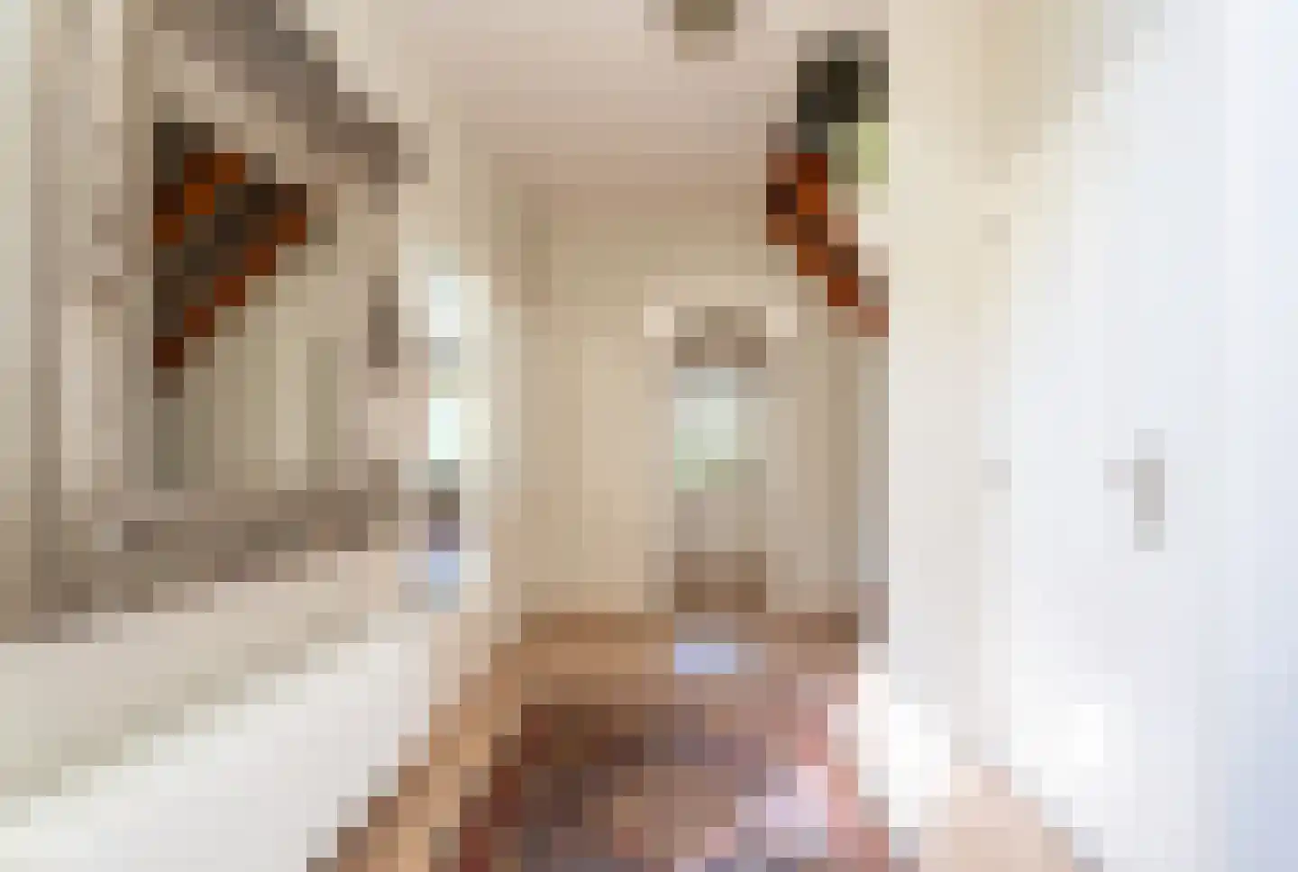 Abbewerveweg 6 Zwartewaal thumbnail 29