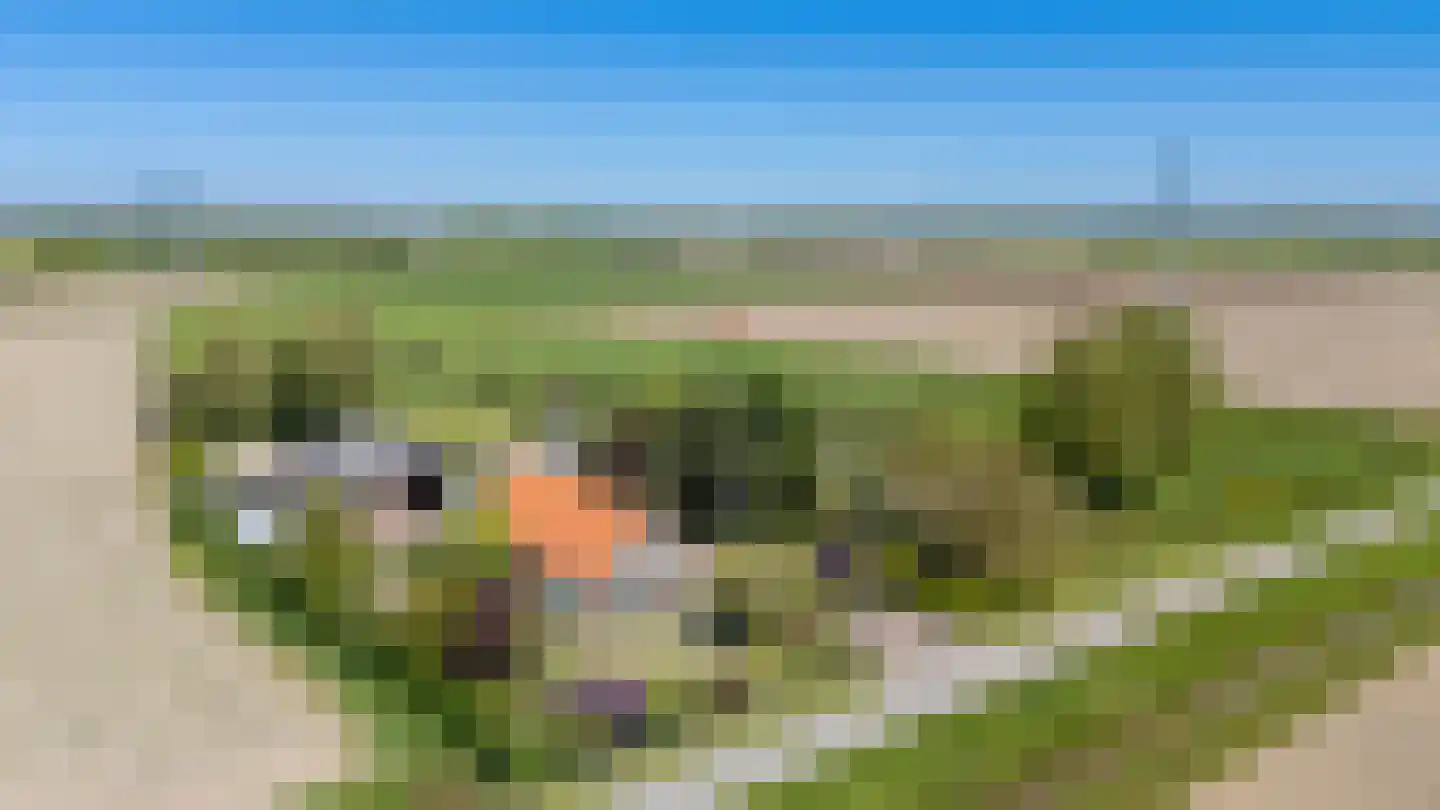 Abbewerveweg 6 Zwartewaal thumbnail 6