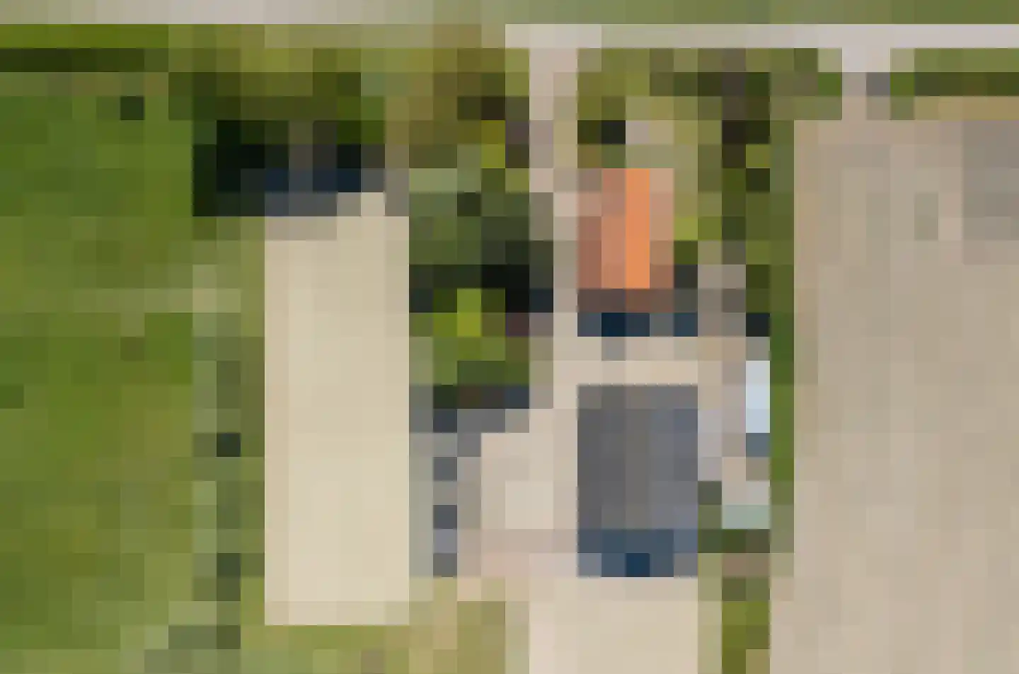 Abbewerveweg 6 Zwartewaal thumbnail 9