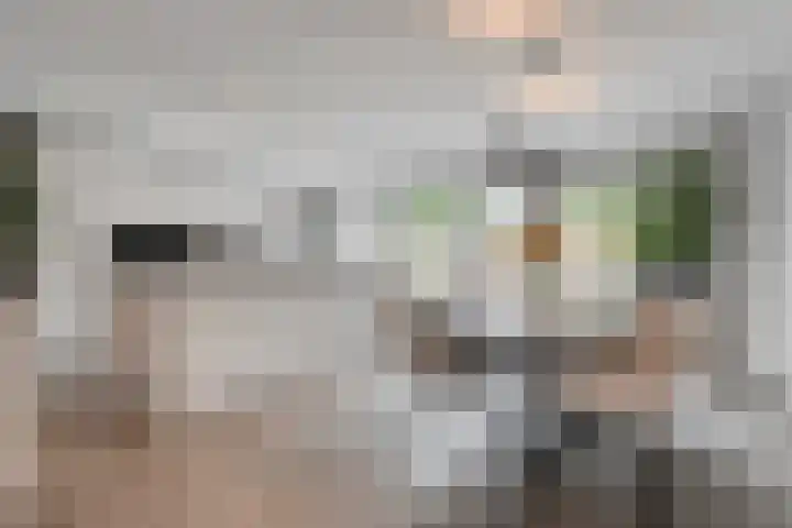 Abbingastate 2 Almelo thumbnail 11