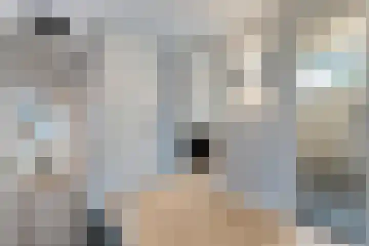 Abbingastate 2 Almelo thumbnail 17