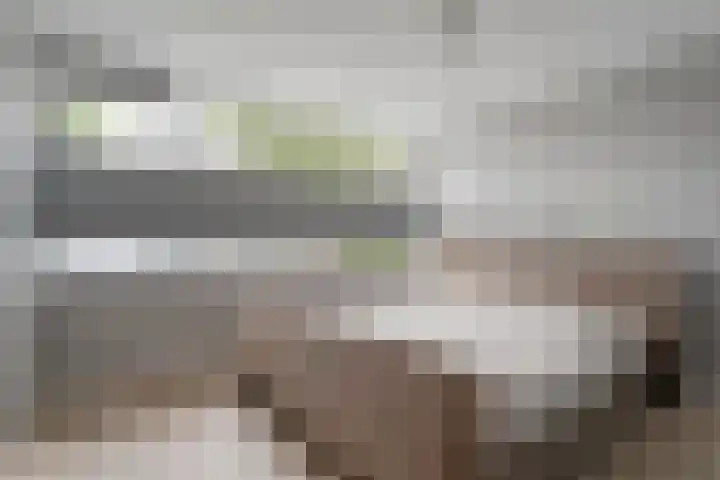 Abbingastate 2 Almelo thumbnail 19