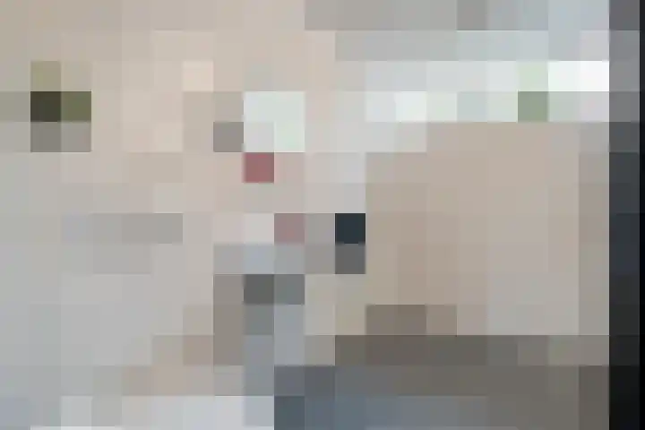 Abbingastate 2 Almelo thumbnail 23