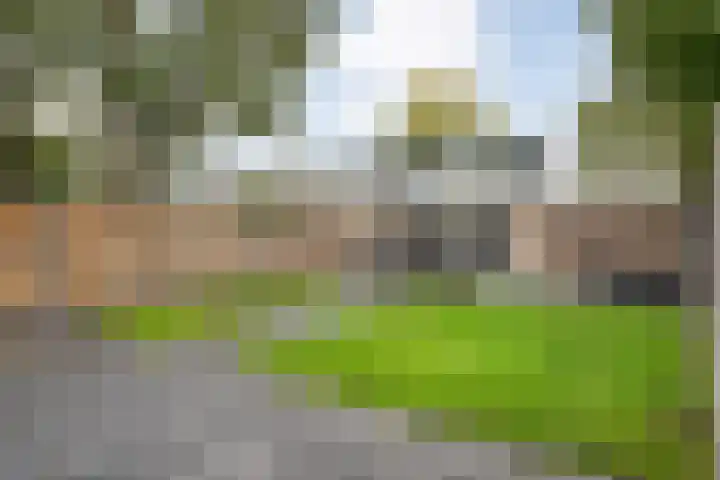 Abbingastate 2 Almelo thumbnail 29