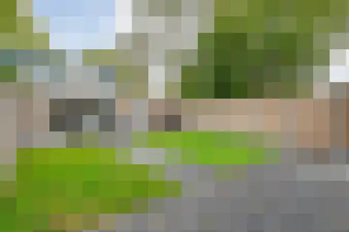 Abbingastate 2 Almelo thumbnail 30