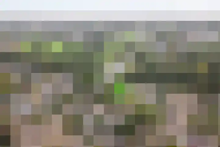 Abbingastate 2 Almelo thumbnail 33