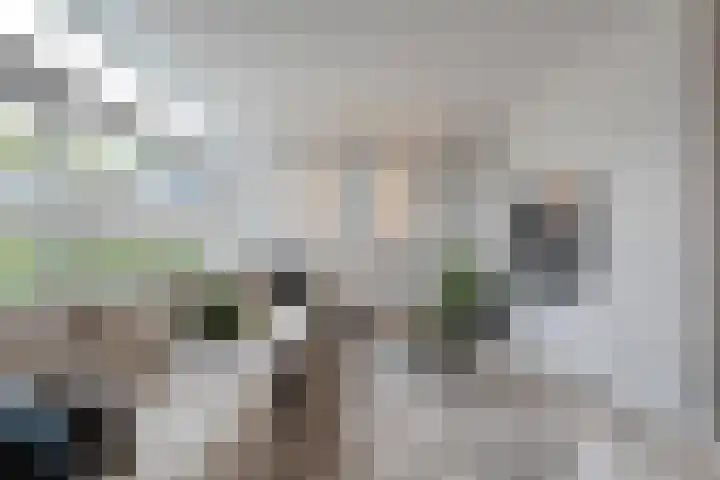 Abbingastate 2 Almelo thumbnail 7