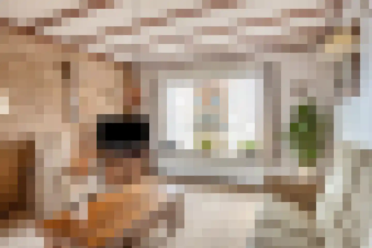 Abbinkstraat 8 Halle thumbnail 11
