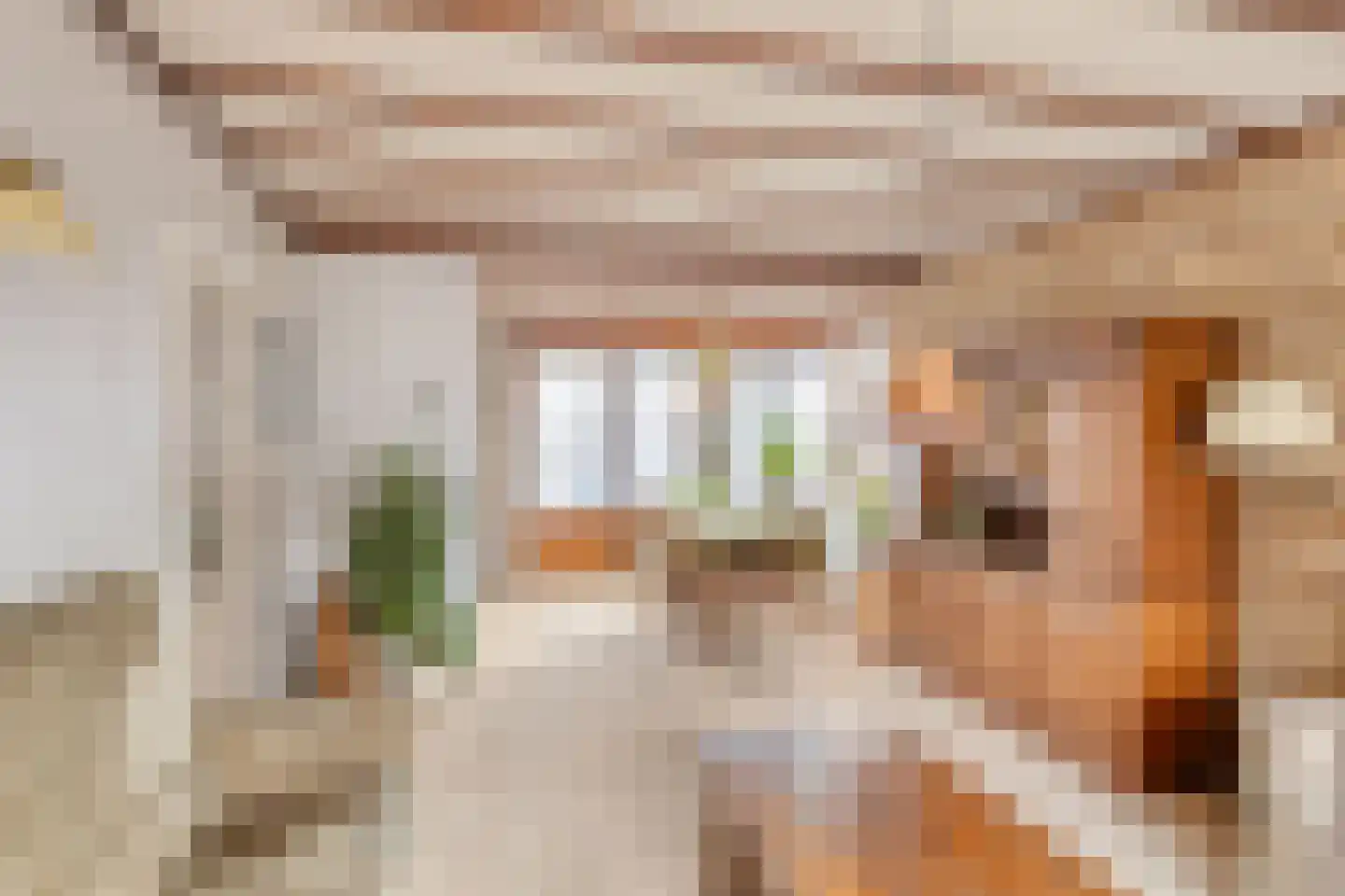Abbinkstraat 8 Halle thumbnail 12