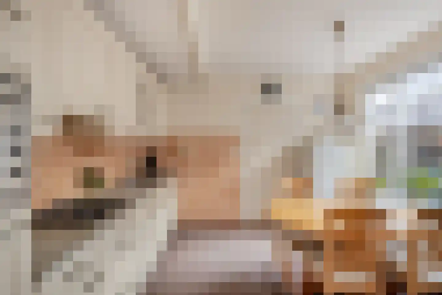 Abbinkstraat 8 Halle thumbnail 16