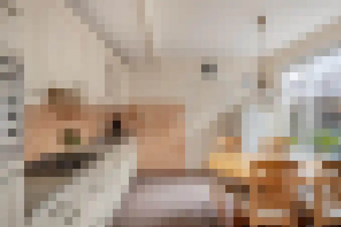 Abbinkstraat 8 Halle thumbnail 16