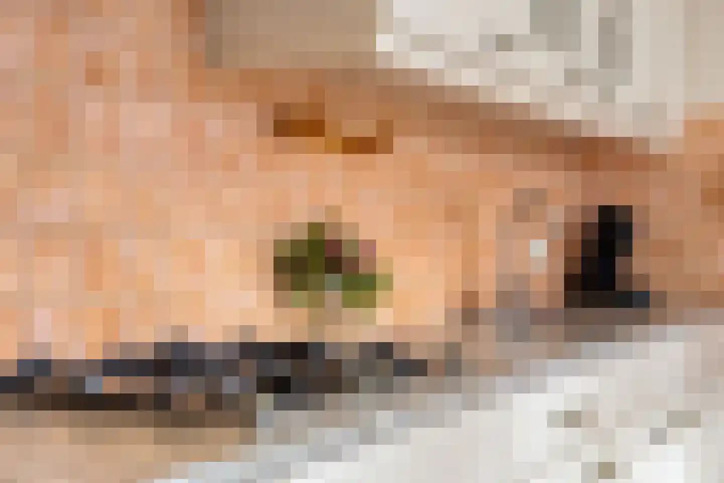 Abbinkstraat 8 Halle thumbnail 17