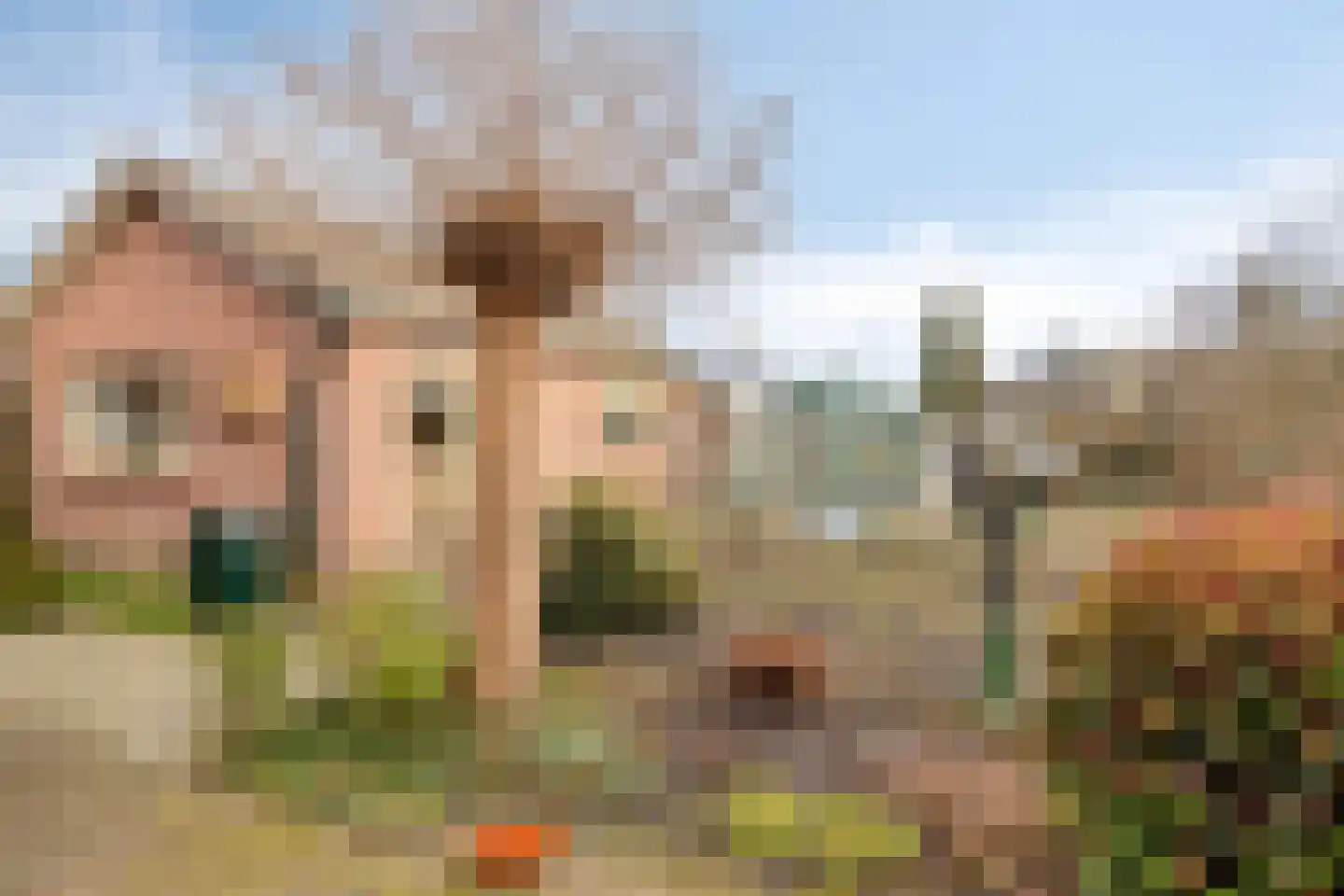 Abbinkstraat 8 Halle thumbnail 38