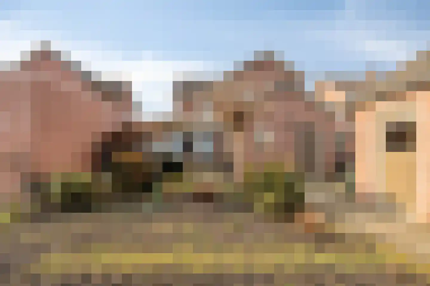 Abbinkstraat 8 Halle thumbnail 42