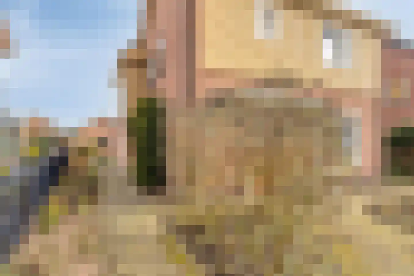 Abbinkstraat 8 Halle thumbnail 7